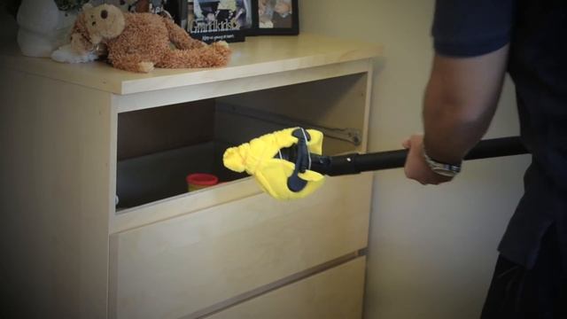 How to Kill Bed Bugs in a Dresser with Steam смотреть онлайн