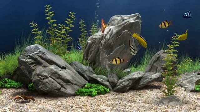 Aquarium   3D Screensaver   Piano HD 1080p