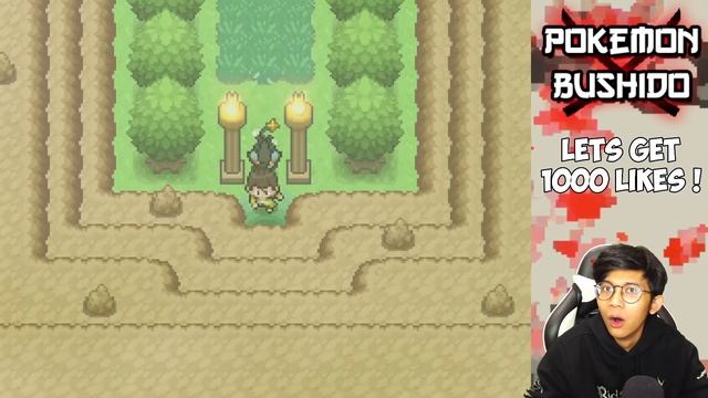 REUNI DENGAN TERRAKION RAGUNAN ! DOJO API NENSHO ! Pokemon Bushido - 6 (Indonesia) смотреть онлайн