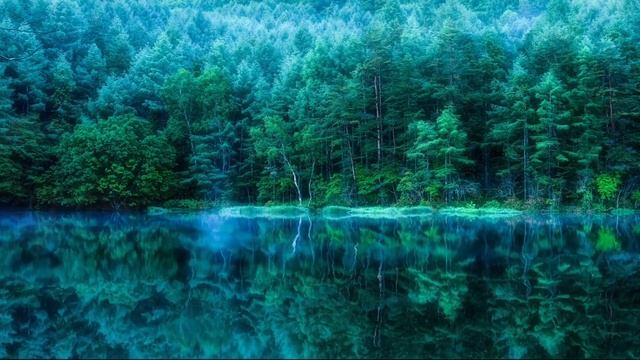 🔴Animated wallpapers pc | Hd 60fps | wallpapers engine. смотреть онлайн
