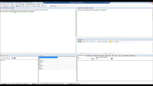 Discover the Linguistech Virtual Desktop (Fluency at a glance) смотреть онлайн