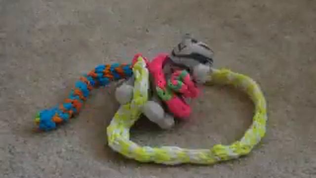 chip chip saves the day.WMV смотреть онлайн
