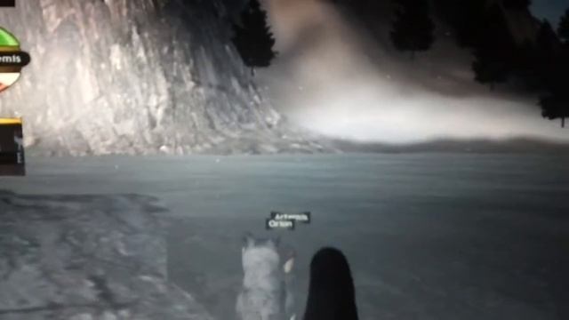 Bouncing glitch on wolf quest 2.5 смотреть онлайн
