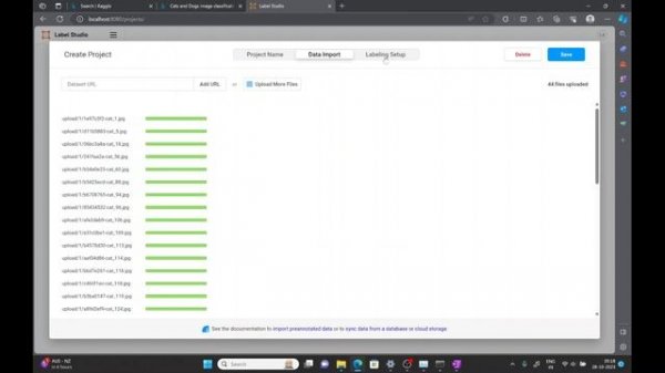 Label-studio - installation and data annotation - image classification