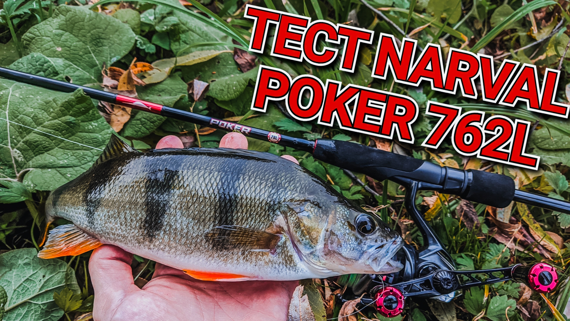 первый тест Narval poker 762L | Хорош или плох бюджетный спиннинг для джига от NARVAL | рыбалка 2024 смотреть онлайн