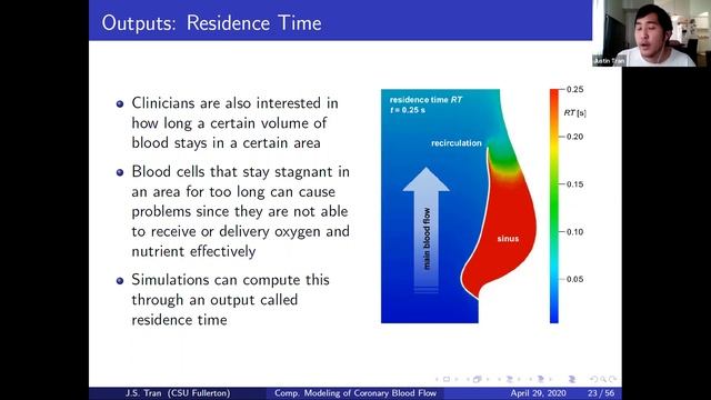 Research Seminar: Computational Modeling of Coronary Blood Flow. SPR 2020. смотреть онлайн