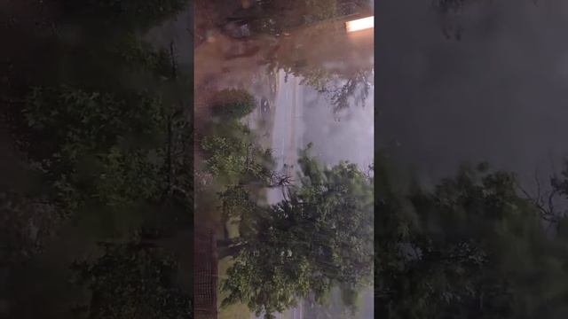 Watching a thunderstorm from the "tree house" window, my favorite window in the hallway. смотреть онлайн