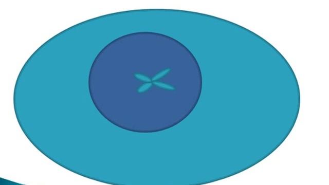 wiki pres.wmv смотреть онлайн