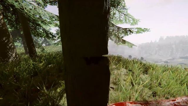 TheForest - forcing a 21:9 resolution in windowed mode смотреть онлайн