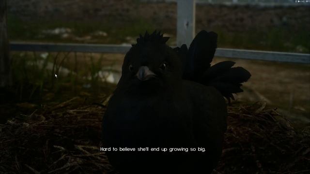 FFXV Windows Edition: Saved the Black Chocobo Egg смотреть онлайн