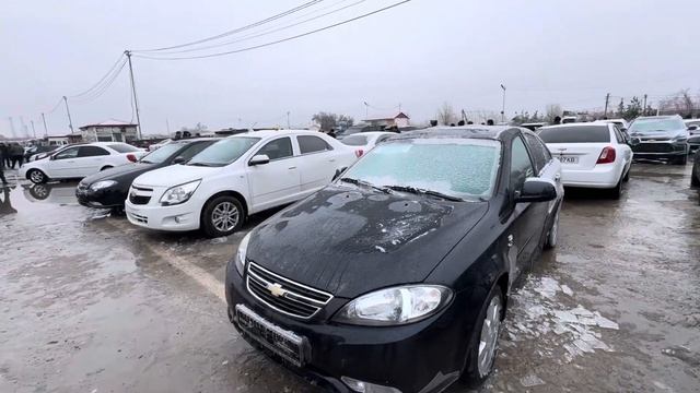 SAMARQAND MOSHINA BOZORI 2024. САМАРКАНД МОШИН БОЗОР 2024. MOSHINA NARXLARI 2024