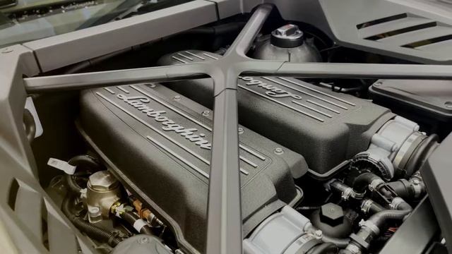 Lamborghini Urus Sexy Colors