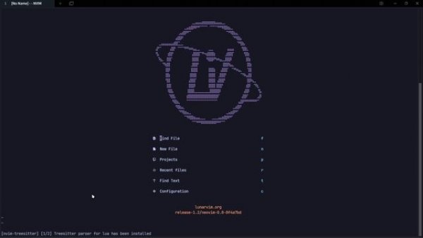 Setting up Lunarvim on Windows 11