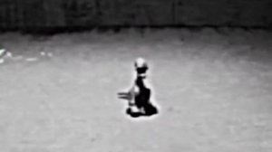 Restricted Restoration