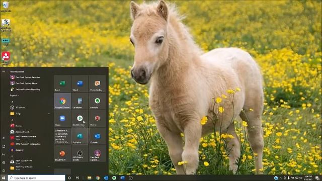 The Windows Desktop смотреть онлайн