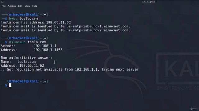 11 Ping, Host, Nslookup Web Security & Bug Bounty Learn Penetration Testing in 2022 смотреть онлайн