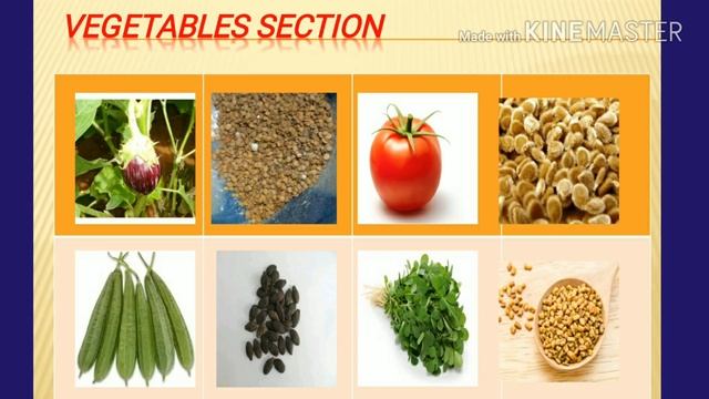 Agri practical entrance examination смотреть онлайн