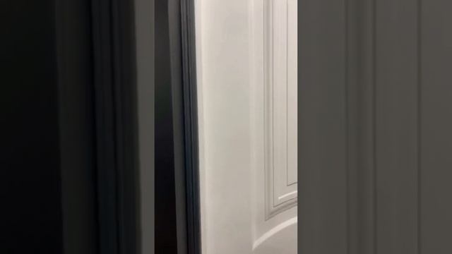 Шумоизоляционная дверь. Для кого она? смотреть онлайн