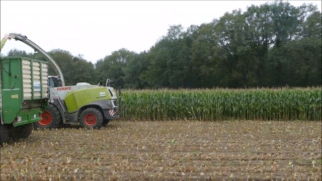 Maishakselen 2021 | Claas Jaguar 980 12 Rows + John Deere 2650 | Terhuf Hamminkeln | Maishäckseln смотреть онлайн