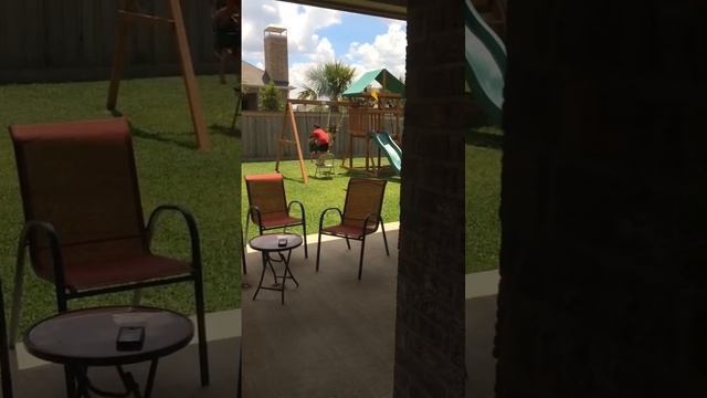 I looked out the window and saw this. How could I be so lucky? смотреть онлайн