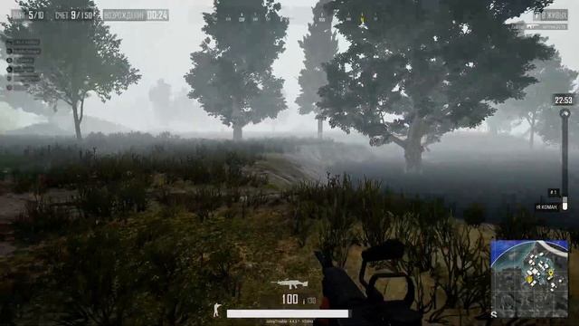 PUBG SERVER смотреть онлайн