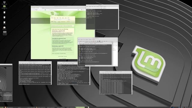 mint19 4 GKSU bug No work rosa image writer except console sudo смотреть онлайн
