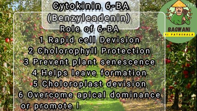 PGR In Apple! Promalin !Its Benifits & Losses! A-Z Information! Plant Growth Regulator GA4+7 /6BA .