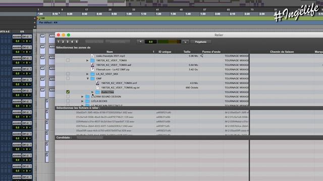 TUTO : RELINKER PAR LOT FICHIERS AUDIO - IMPORT OMF / AAF - PROTOOLS смотреть онлайн