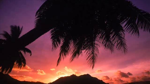 Beach Wallpapers смотреть онлайн