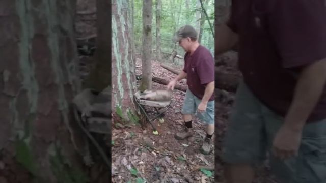 Best tree seat ground seat смотреть онлайн