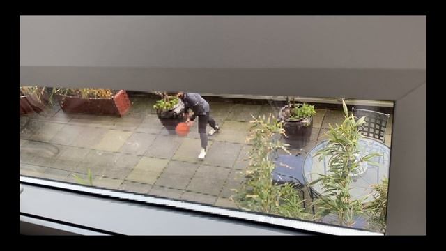A neighbor in Bravern playing basket ball on my window and wall смотреть онлайн