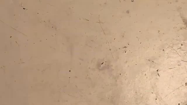 $2 Full book Pac-Man + $100 roll over mix split with GNGS Part 2🍀🍀🍀🍀 смотреть онлайн