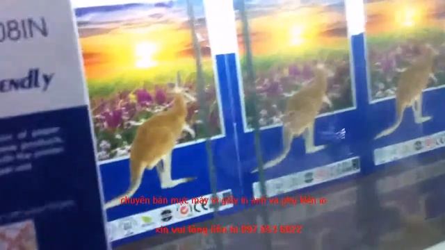 Bán Giấy in Lefami Kp108 giá rẻ nhất hà nội toàn quốc chính hãng смотреть онлайн