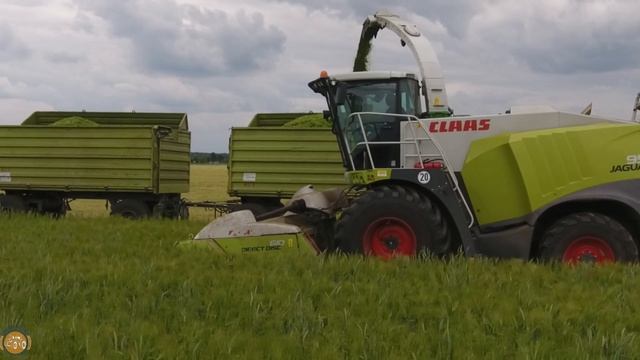 Großeinsatz GPS Ernte - Claas Jaguar 950 / Gerste mähen - Häckseln 2019 смотреть онлайн