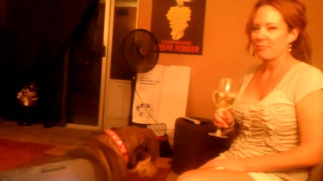 Crazy girls and a dog смотреть онлайн