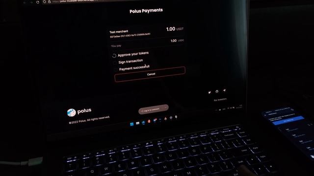 Polus Payments v0.9 user experience смотреть онлайн
