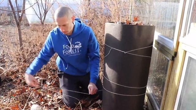 How to Protect A Fruit Tree During the Winter смотреть онлайн