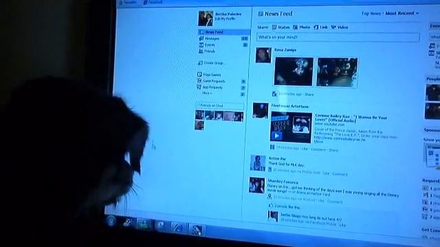 Gucci and The Cursor смотреть онлайн