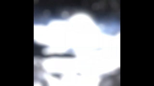 [FREE] Portal Bank "EVENTIDE" | 40+ Multigenre presets and bonuses смотреть онлайн