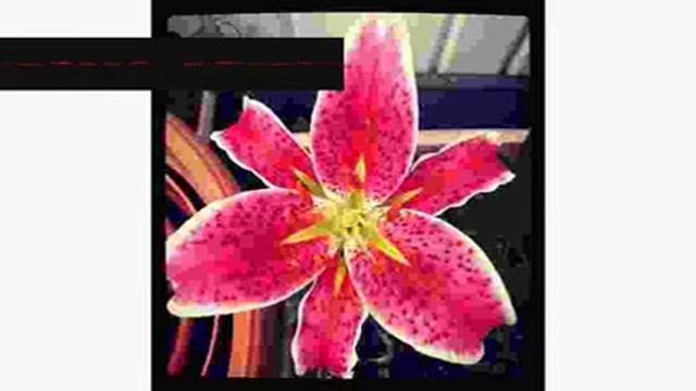 Itunes Therapeutic Drum ynivnmmyna смотреть онлайн