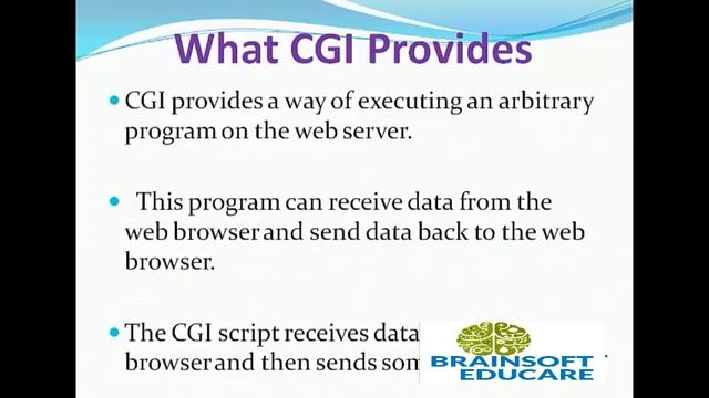 What Common Gateway Interface Provides | CGI Complete Course. смотреть онлайн
