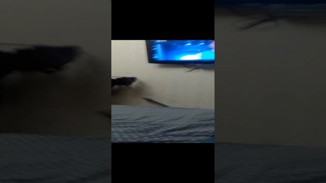 20-10-2024 смотреть онлайн