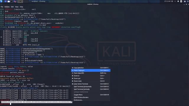 J'exploite un Buffer-Overflow X64 смотреть онлайн