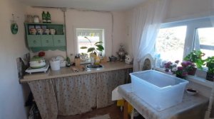 Крашу окна, стелю линолиум, сажаю цветы!