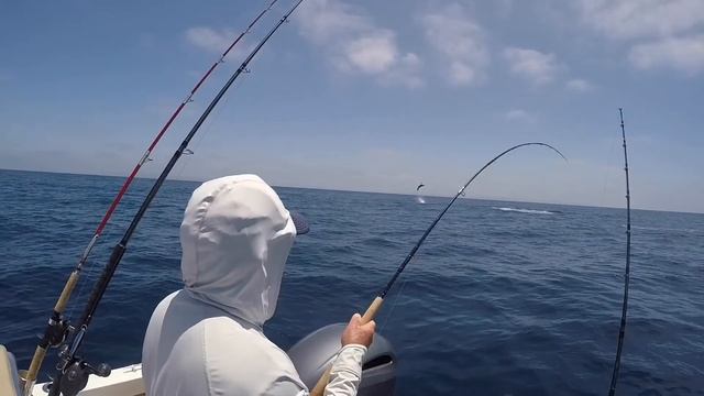 Monster mako shark on the fly смотреть онлайн