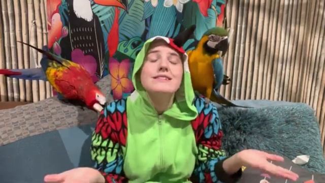 Tips for Keeping Birds Warm in the Winter!