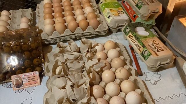 Покупатель изменил заказ куриного инкуб яйца//Суточные утята Мускусной утки