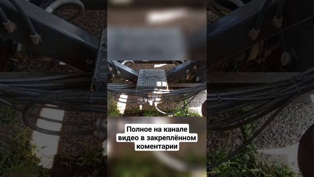 главаная проблема ТОНАРА #тонар #tebs смотреть онлайн