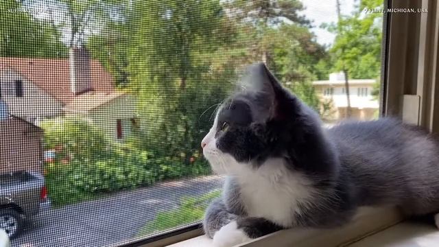 Jitaku A WindowSwap Music Video смотреть онлайн