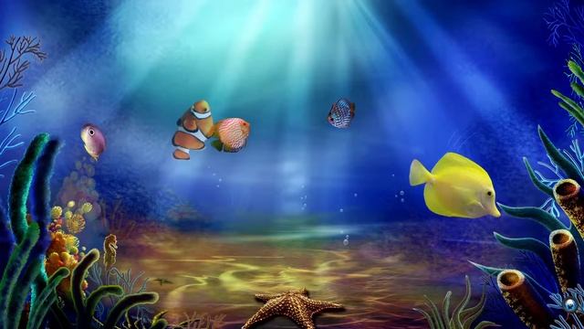 Aquarium смотреть онлайн